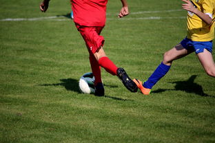 九游（jiuyou.com）游戏-NBA球员训练计划优化设计，nba运动员训练计划