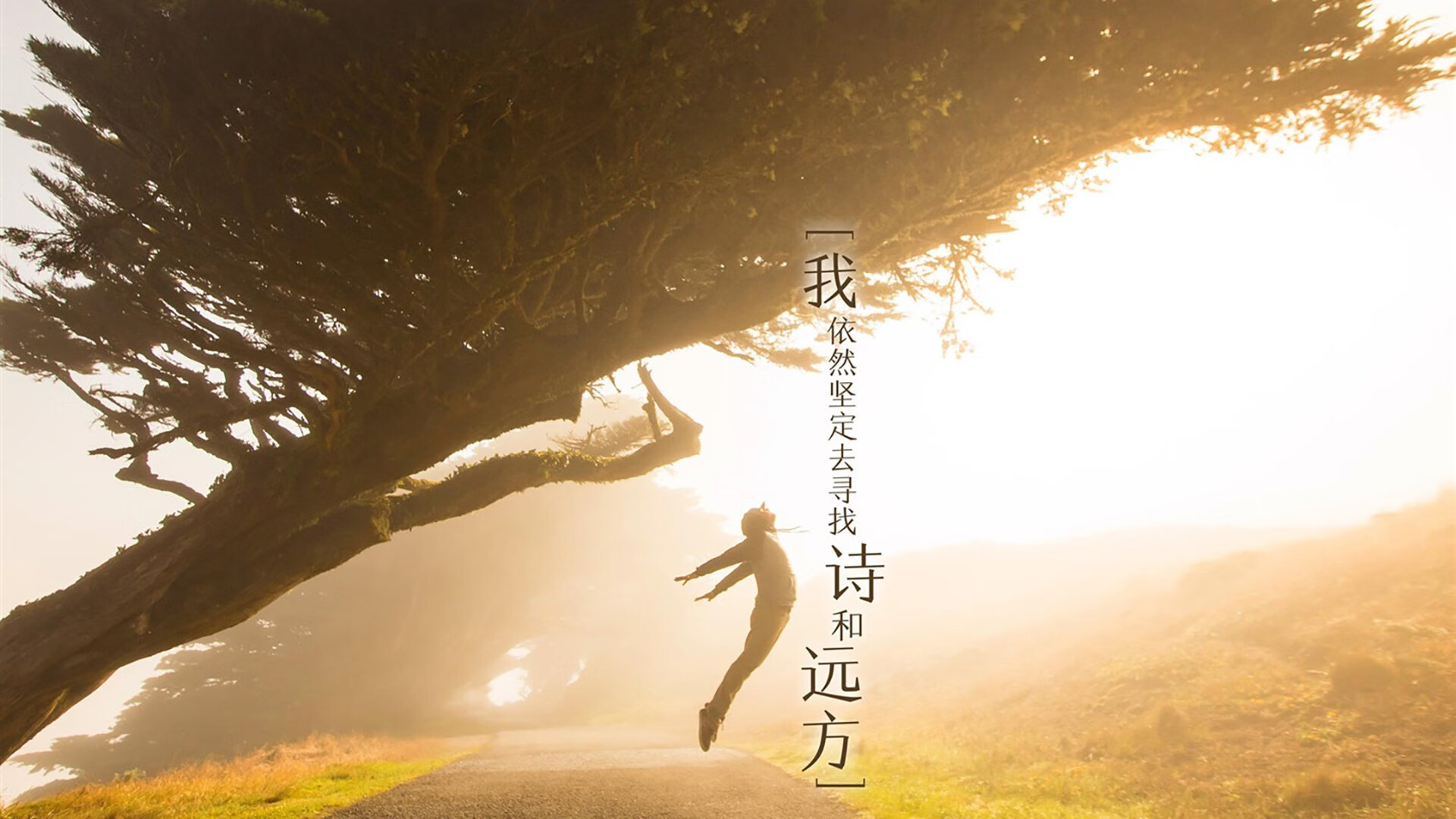 NBA球员赛季表现亮点盘点,nba赛季球员排名