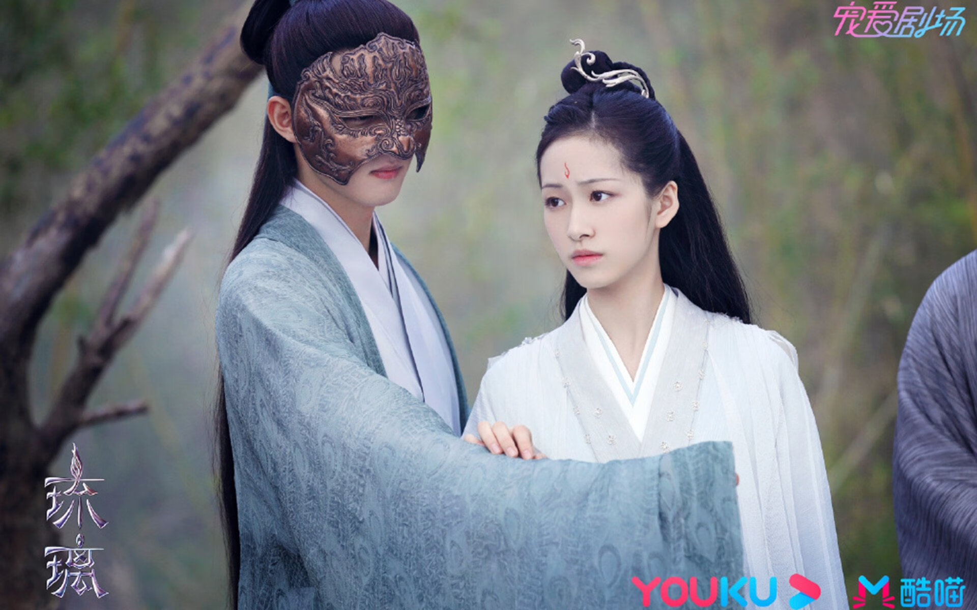 中国篮球球迷观赛文化塑造与社区归属感增强，篮球比赛观众心得体会