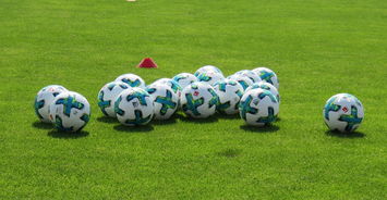 九游下载官网-中国足球青训体系建设加强地方教练考评制度落地，全国青少年校园足球教练员国家级专项培训课教案