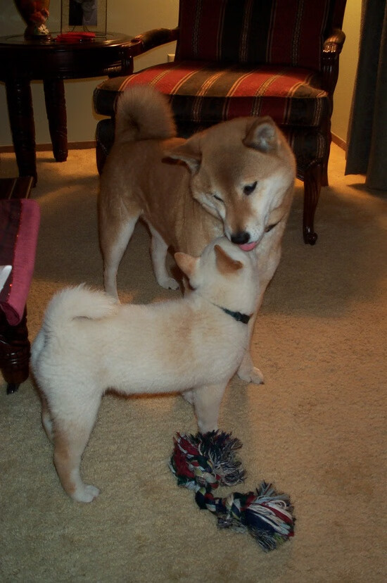 九游（jiuyou.com）游戏-俱乐部与运动品牌共建训练设施 提升装备保障，锻炼俱乐部