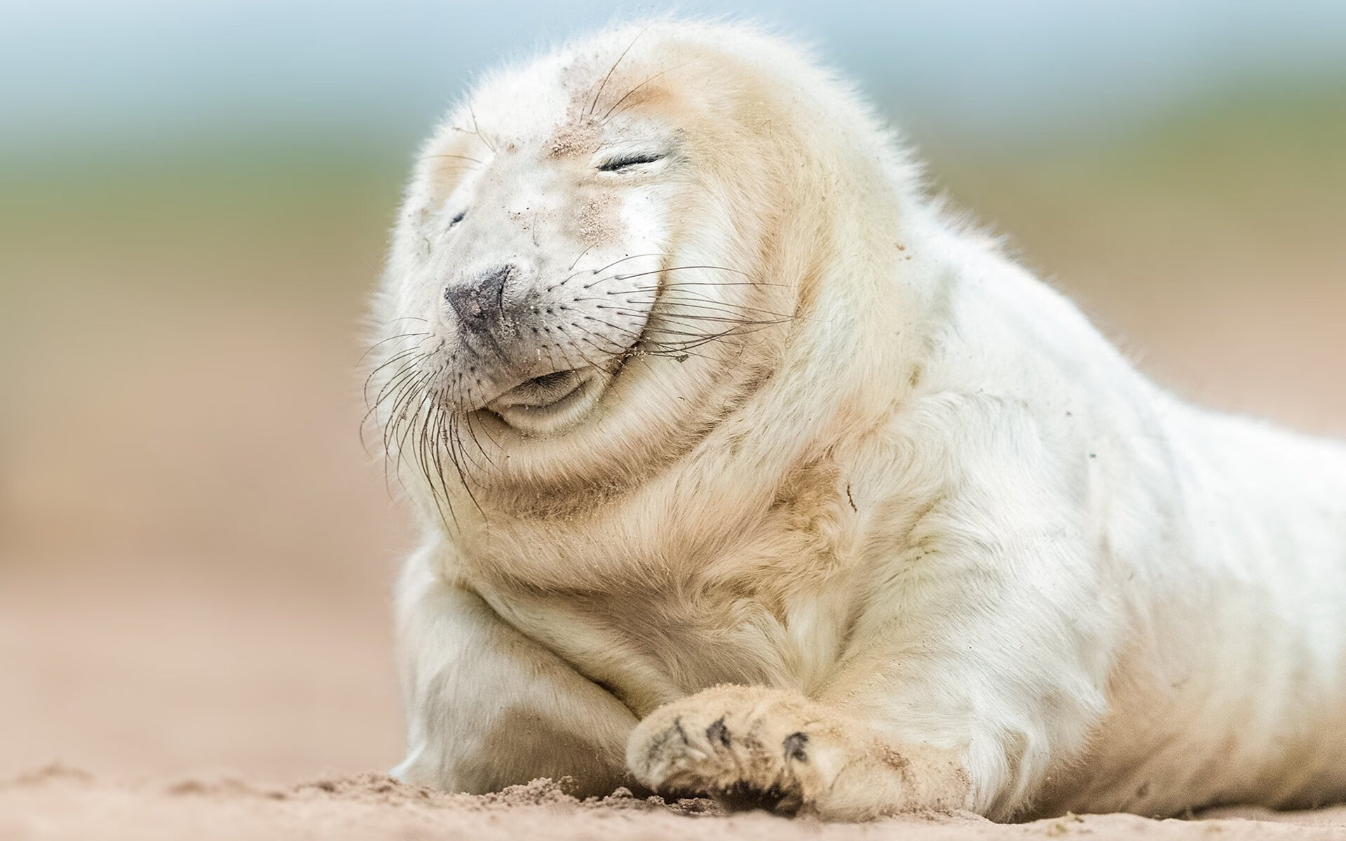 俱乐部与运动品牌共建训练设施 提升装备保障,锻炼俱乐部